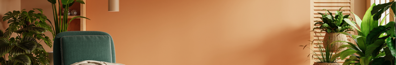 Top Banner