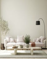 NOVEL CHARM | Matt Odorless paint