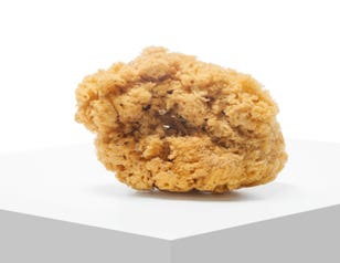 SPONGE